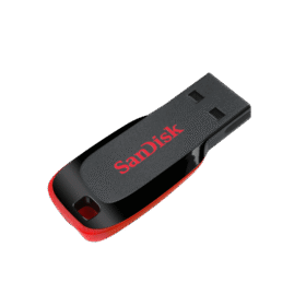 Sandisk Flash Disk Cruzer Blade 256GB