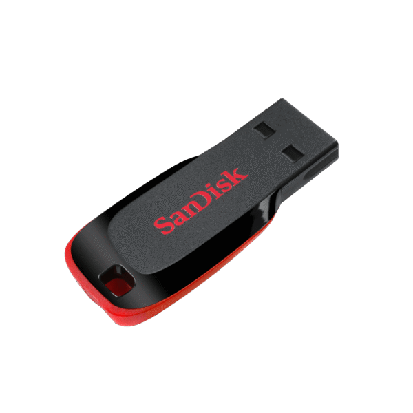 Sandisk Flash Disk Cruzer Blade 256GB